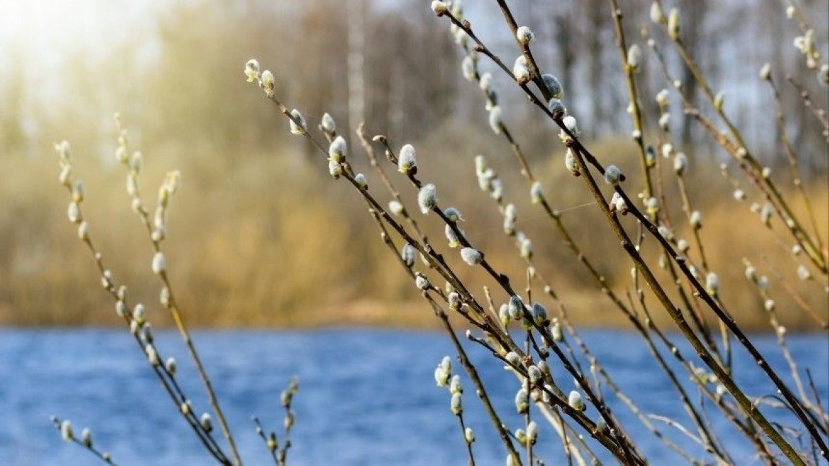 Синоптики рассказали, какая погода ждет казахстанцев 14 апреля