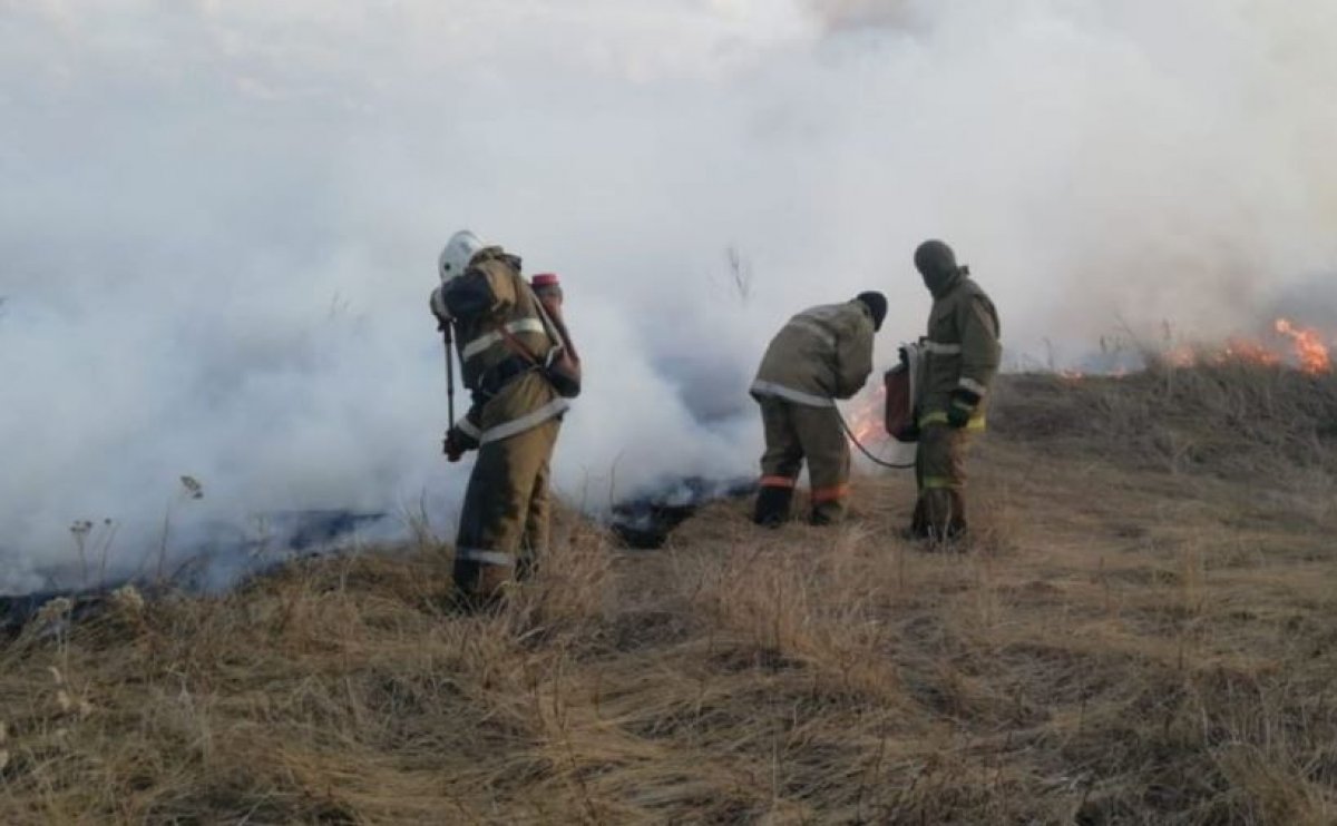 Десятки пожарных тушат траву возле столицы