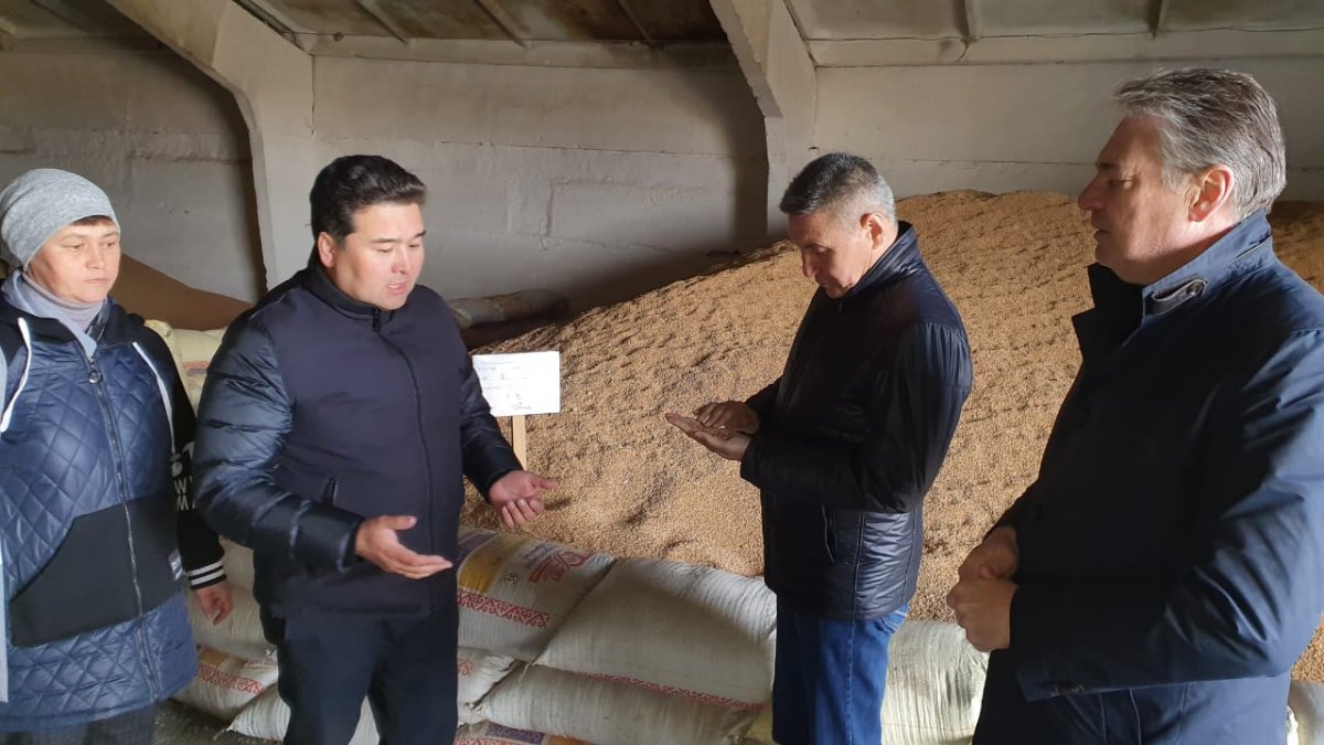 Мажилисмены: в законе все есть, но акиматы не работают по снижению дефицита пастбищ