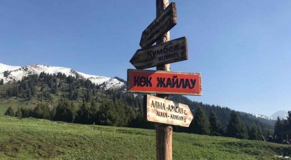 На Кок-Жайляу спасли алматинца