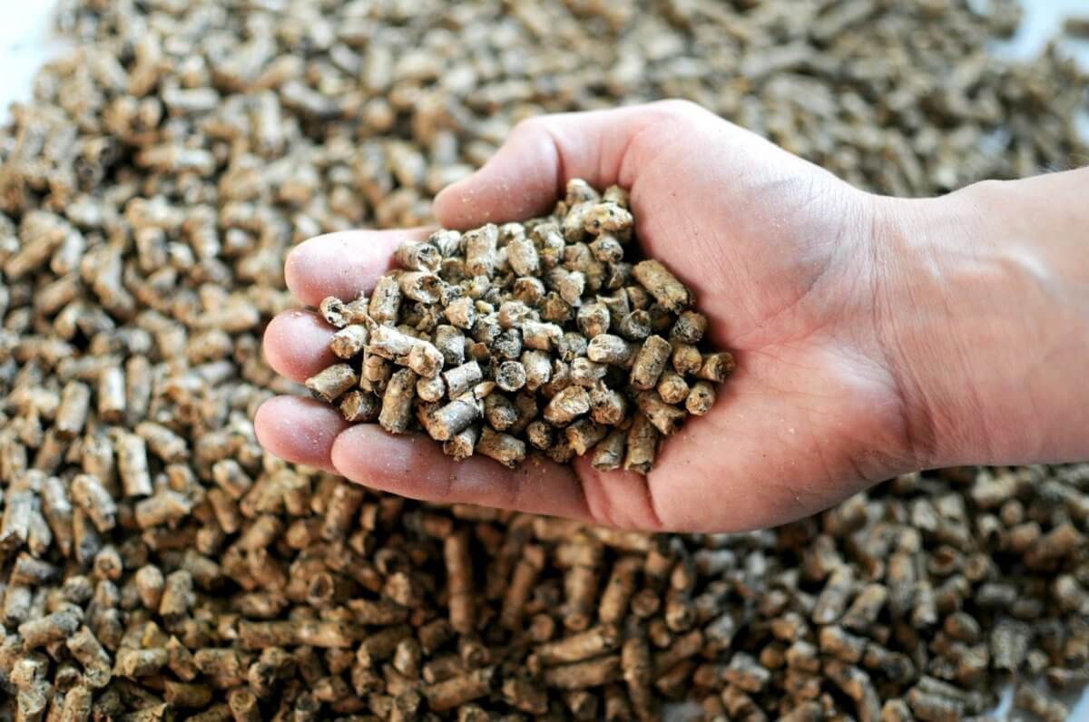 Водители предприятия похитили 17 тонн корма в Карагандинской области