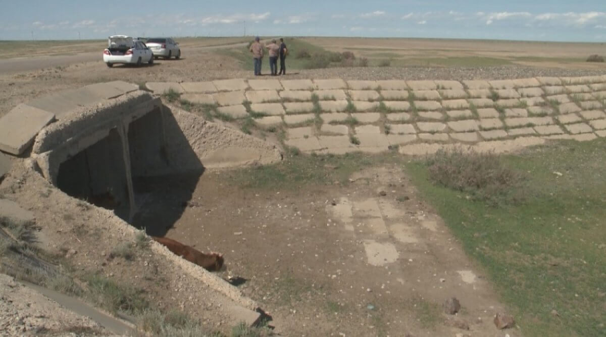 Озерам не хватает воды в Костанайской области