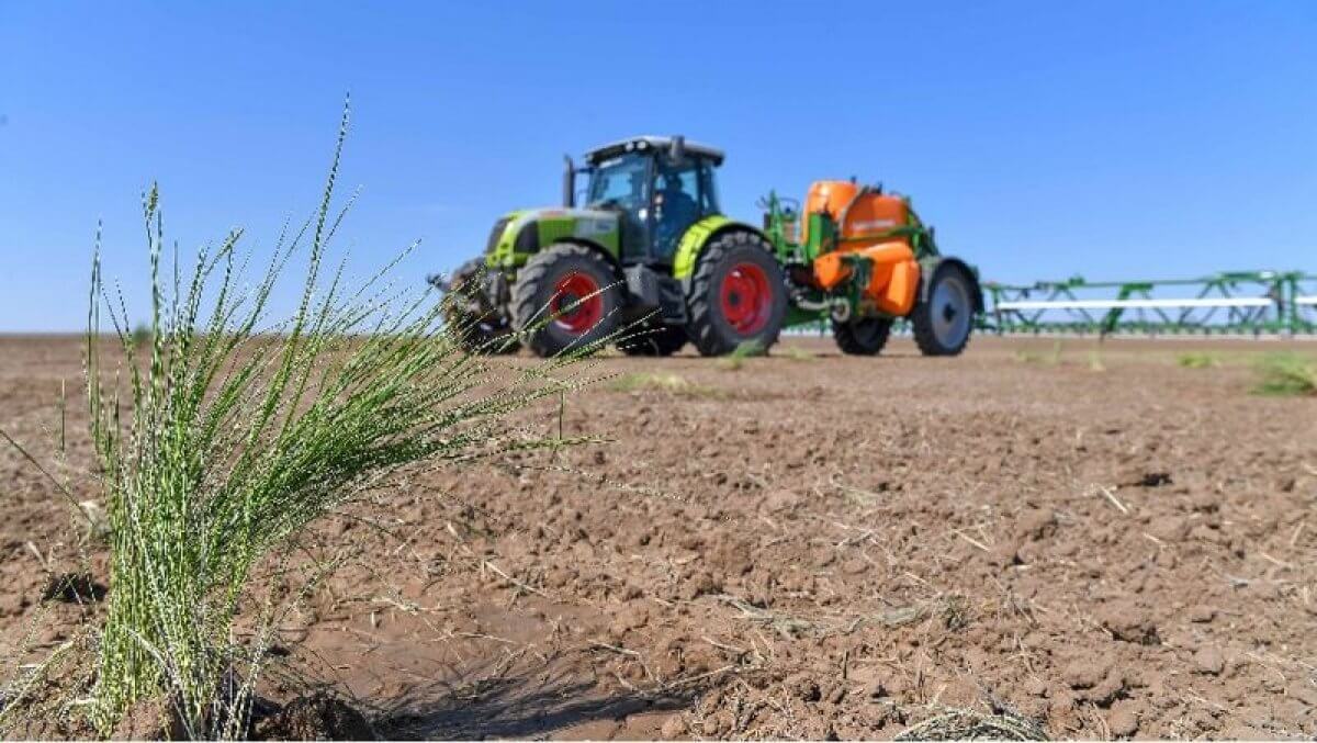 Где ждать засуху? Синоптики озвучили прогноз погоды на июнь
