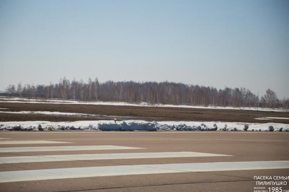 Мучайтесь сами: уже третий раз чиновники не могут продать аэропорт Петропавловска