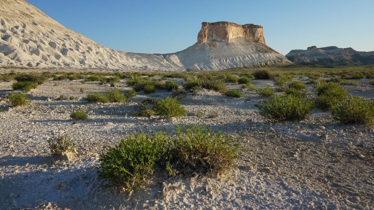 В мангистауских заповедниках будут пасти скот