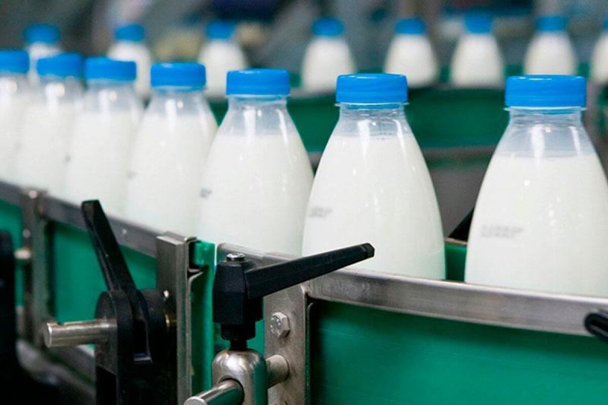 Молочные заводы в Казахстане могут оказаться на грани закрытия