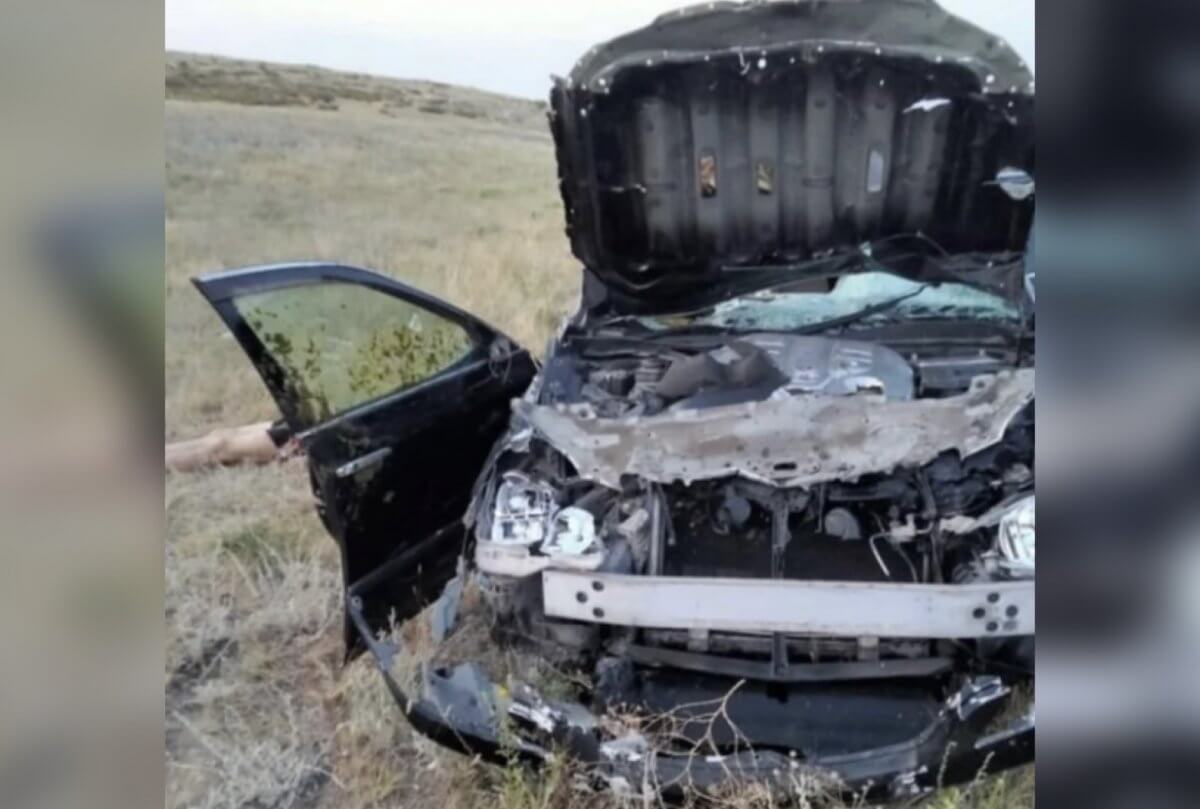 Жуткое смертельное ДТП с лошадьми произошло в ВКО