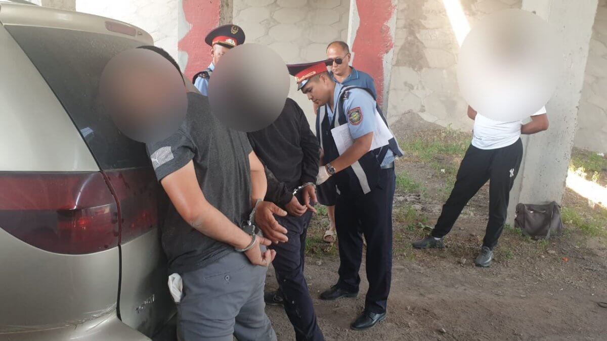 13 мешков с сайгачьими рогами незаконно перевозили в Алматинской области
