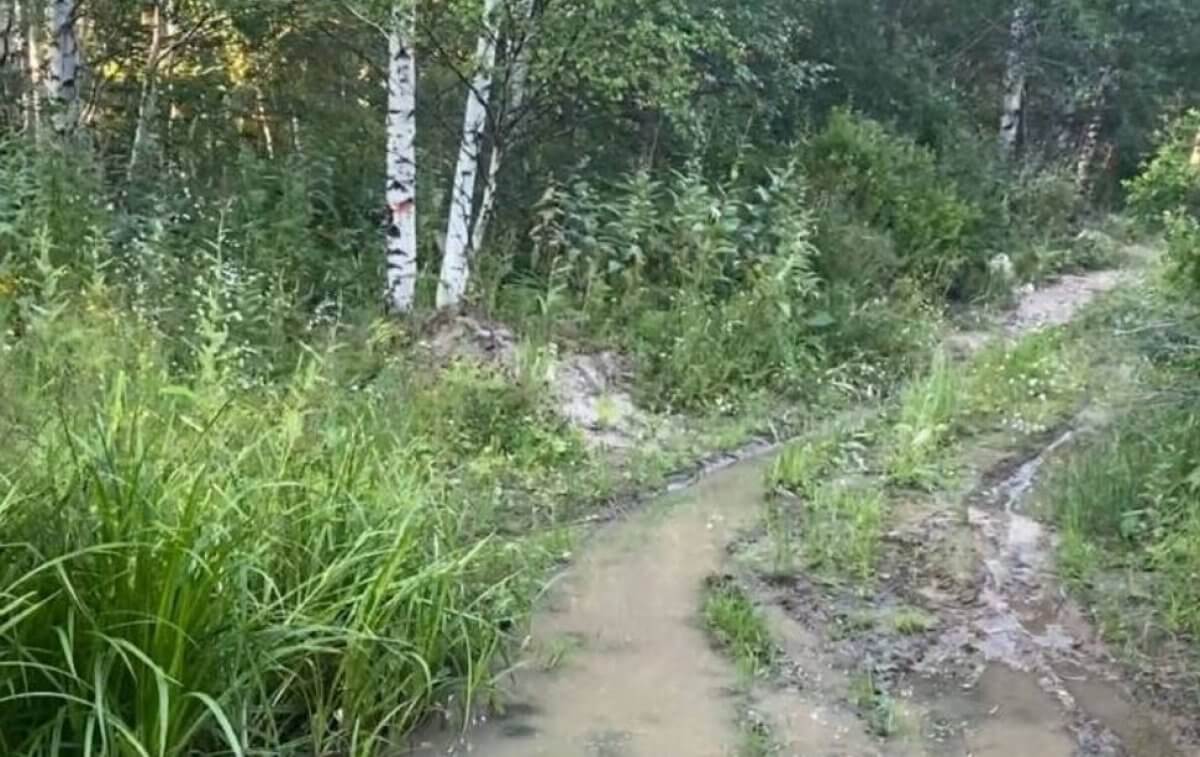 Мертвым нашли в лесу мужчину, которого искали несколько дней в Риддере