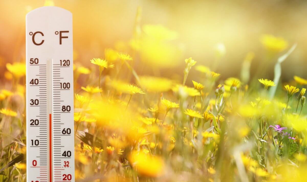 Какой будет погода в августе в Казахстане, рассказали синоптики