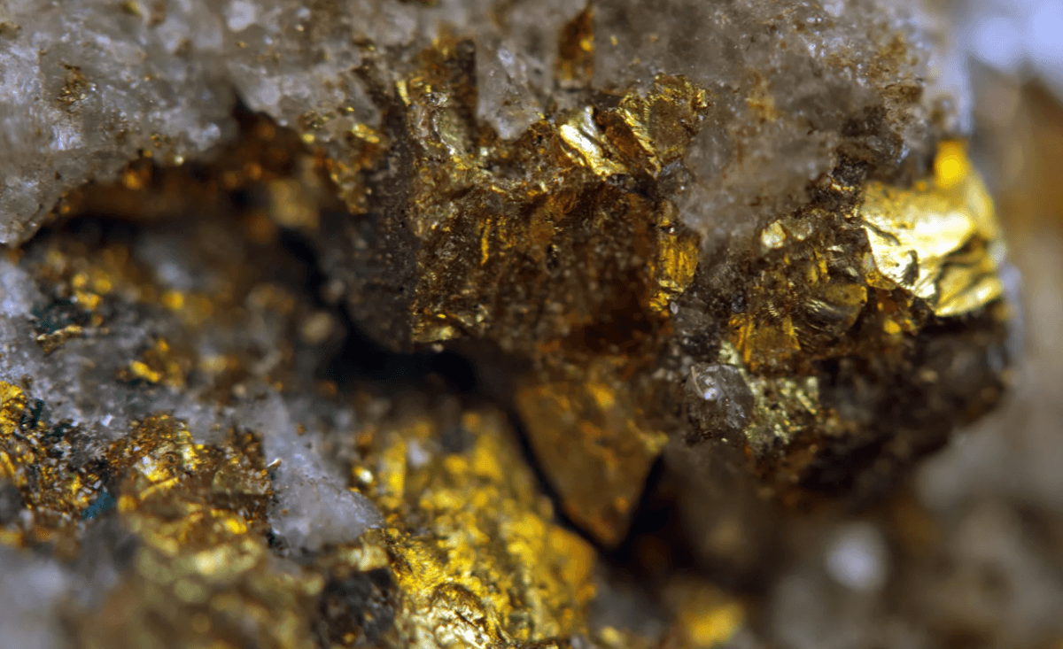 На 280 млн тенге бизнесмен продал незаконно добытое золото в Акмолинской области