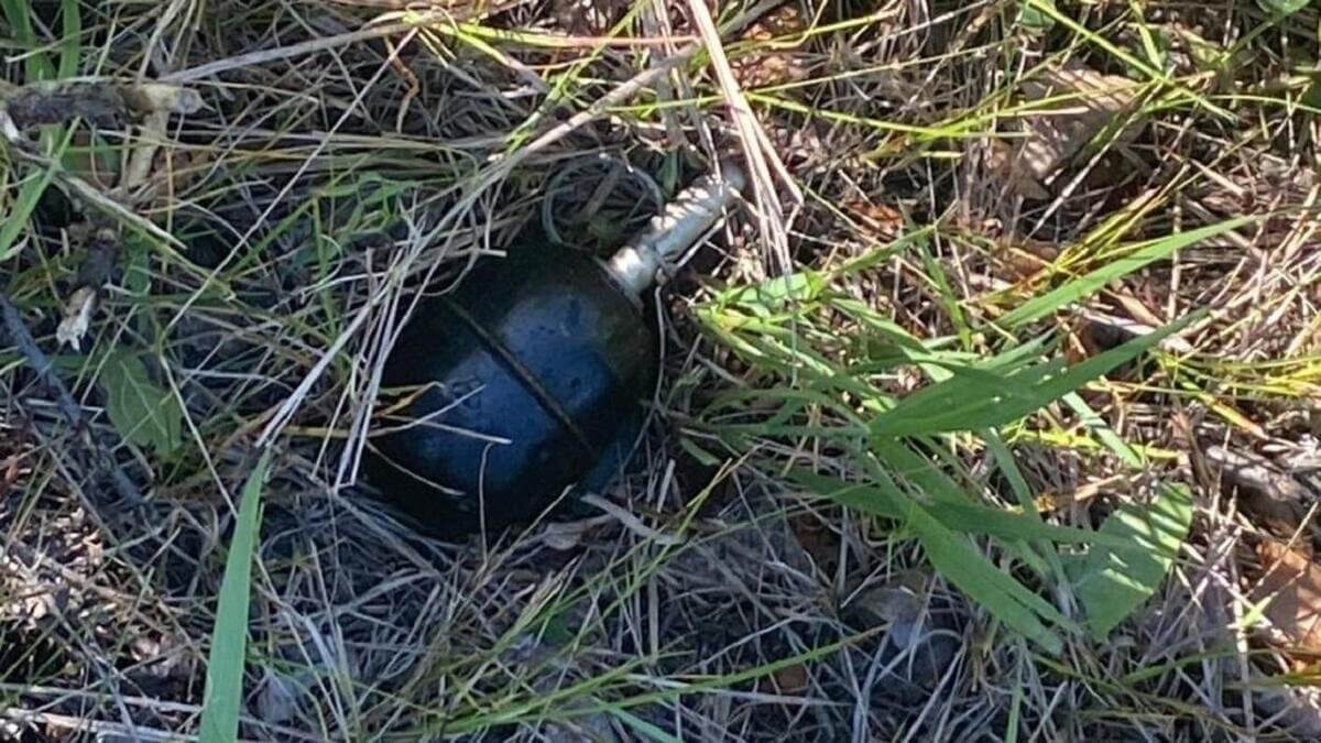 В петропавловском парке в траве обнаружили гранату