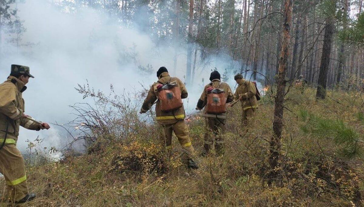 Пожар в Аулиекольском районе Костанайской области удалось локализовать
