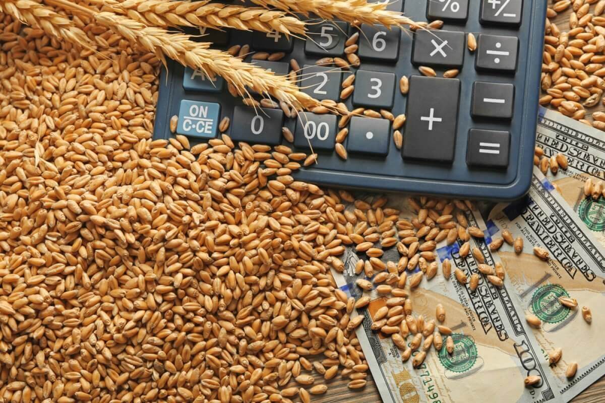 Фермерские субсидии почти на 100 млн тенге прикарманил мужчина в Костанайской области