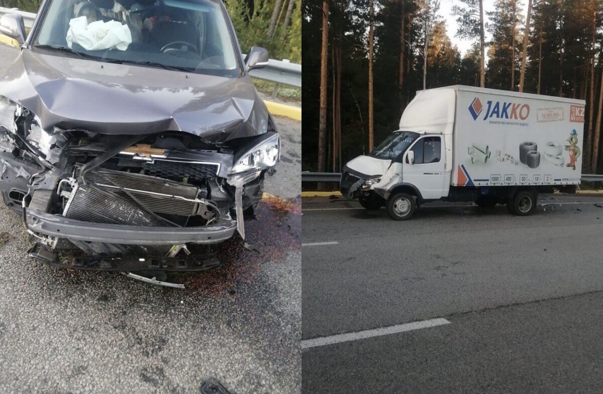 Лось стал причиной двойного ДТП в Акмолинской области