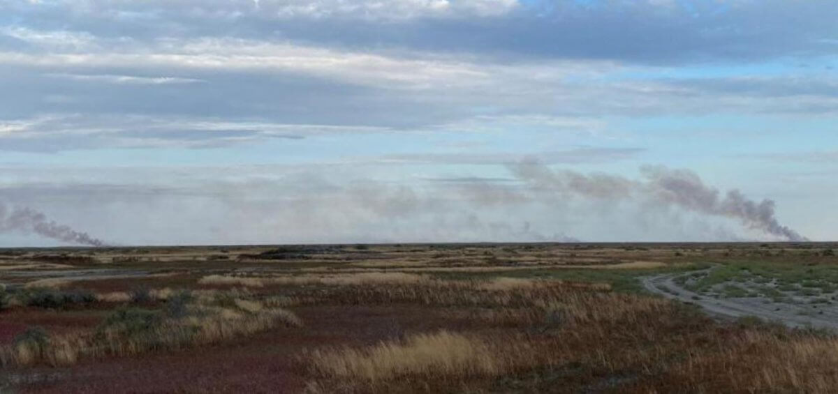 На побережье Каспия горят гектары тростника, тушение невозможно