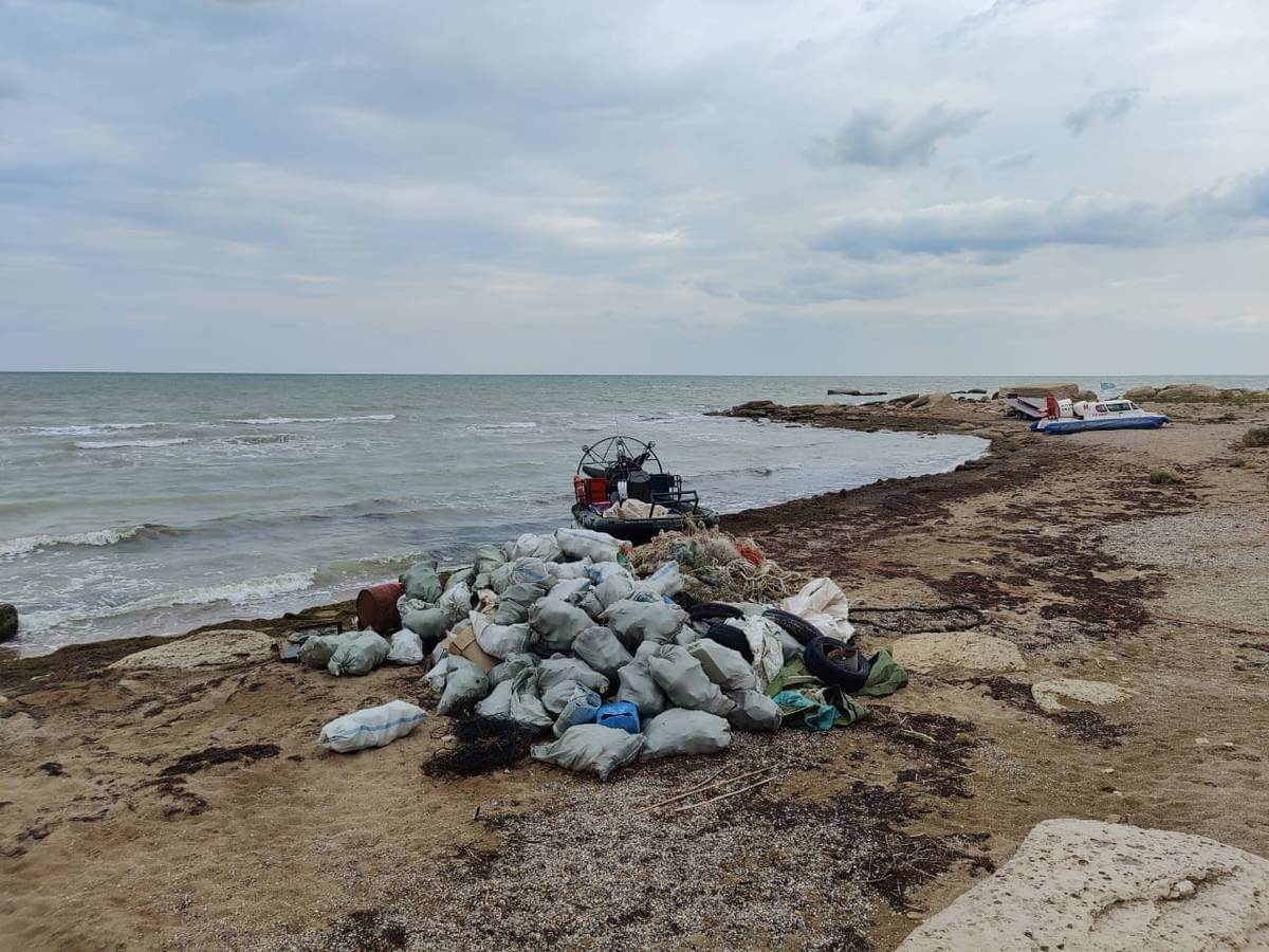 Собрали пять тонн мусора: тюленьи лежбища очищают от отходов в Мангистау