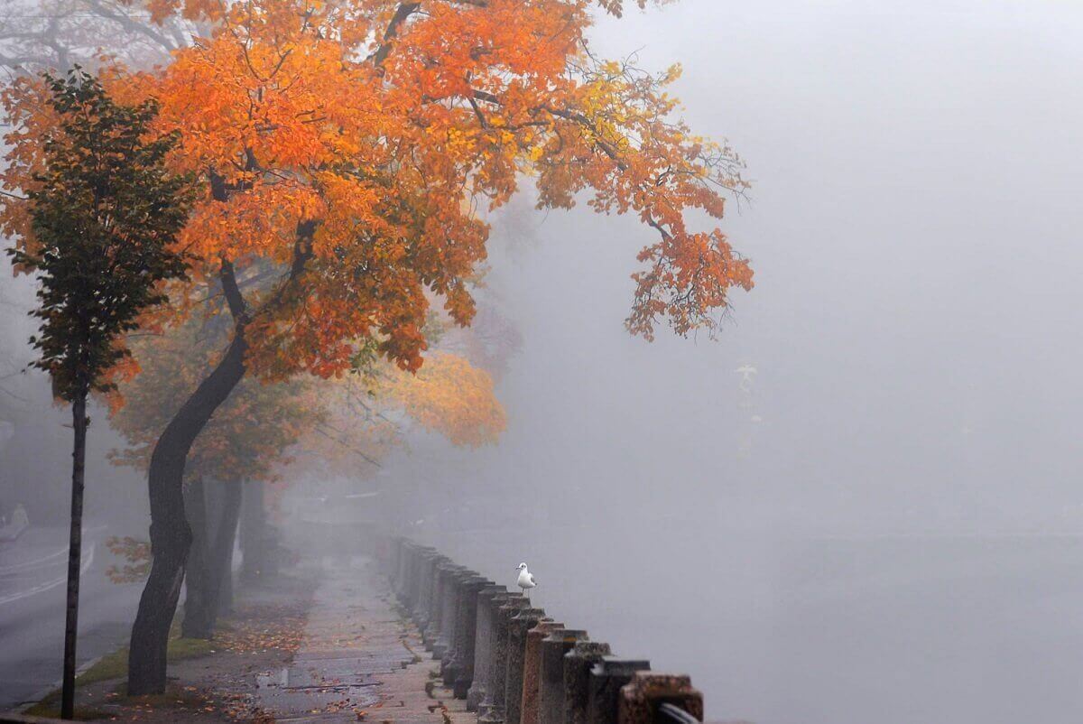 В десяти областях и Астане объявили штормовое предупреждение