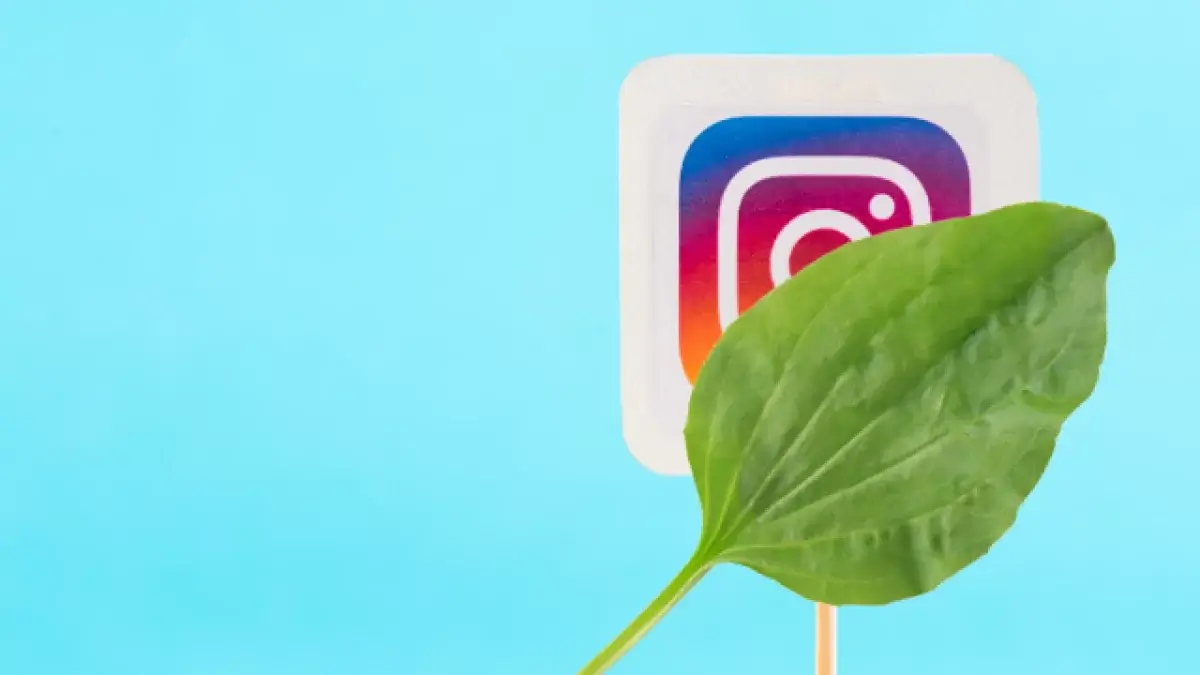На проблемы с Instagram и Facebook жалуются казахстанцы
