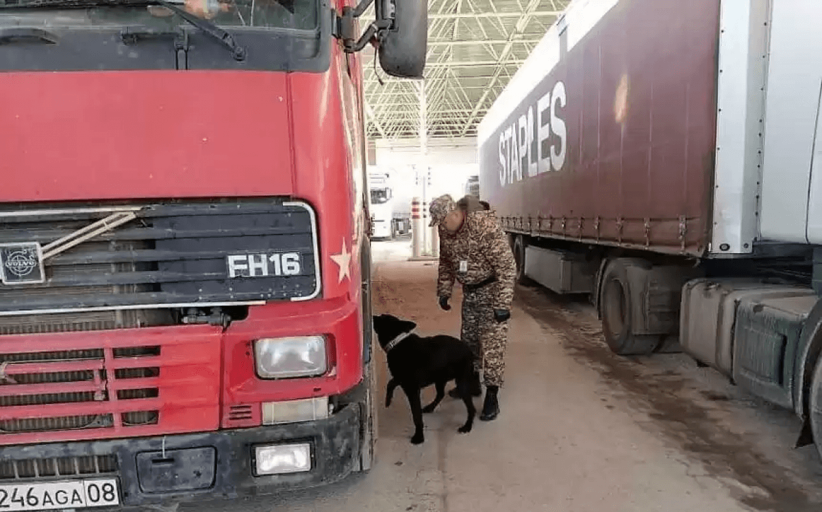 Транспортный затор образовался на границе Казахстана и Кыргызстана