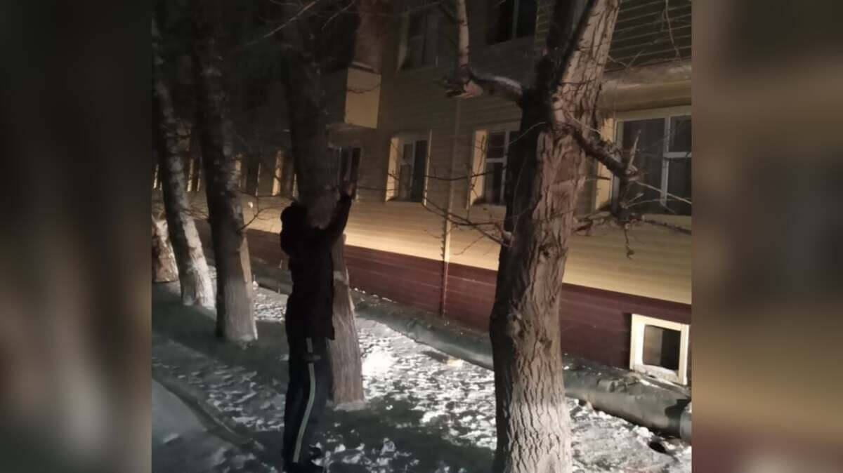 Девушка упала с высоты в Аркалыке: спасший ее полицейский рассказал подробности