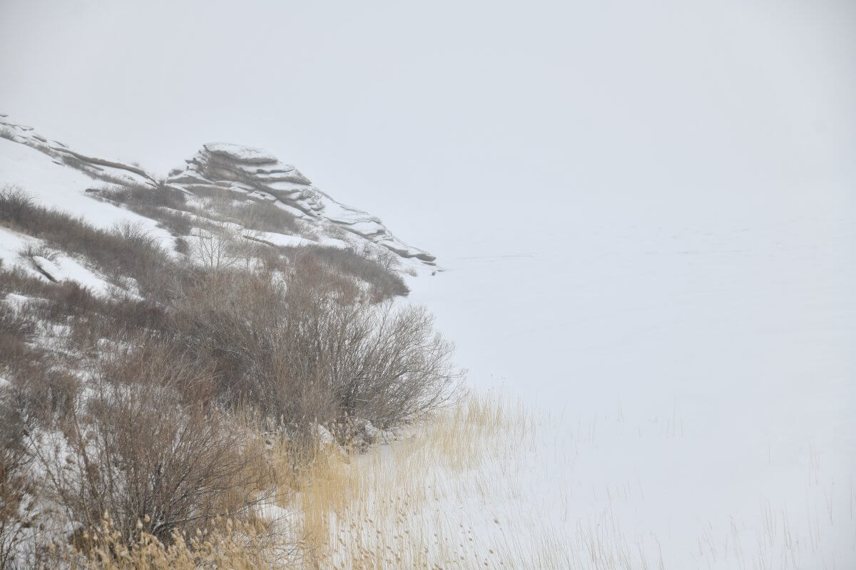 Снег и ветер ожидаются в Казахстане 10 февраля