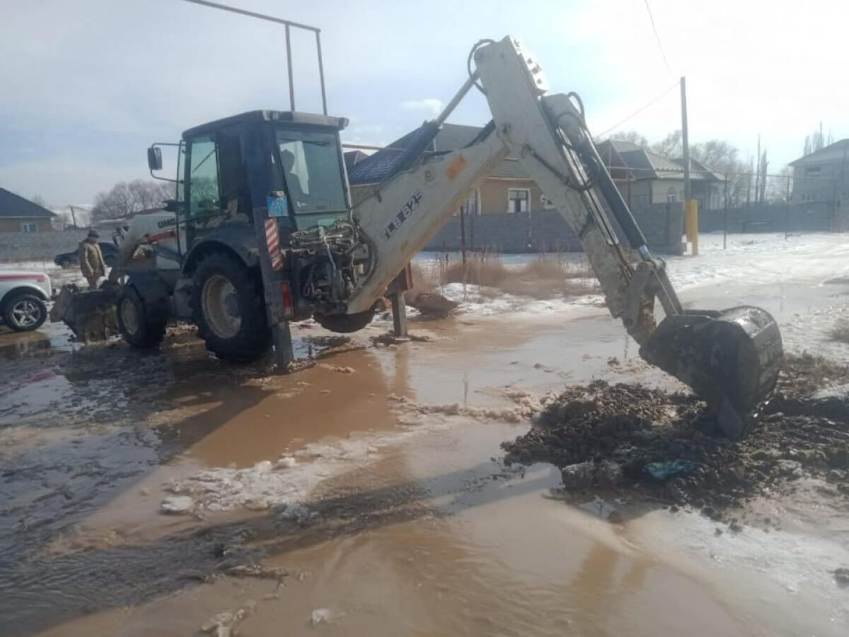 Дворы подтопило из-за засоренных арыков в селе Алматинской области