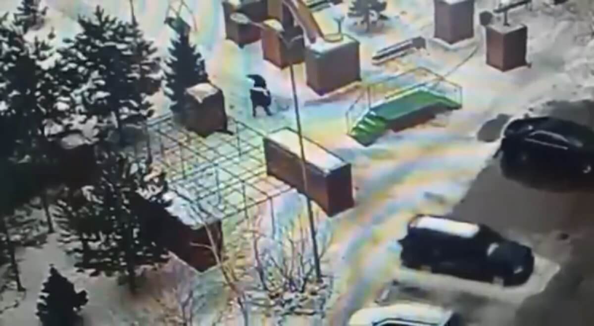Мужчину избили и ограбили в столице: инцидент попал на камеру