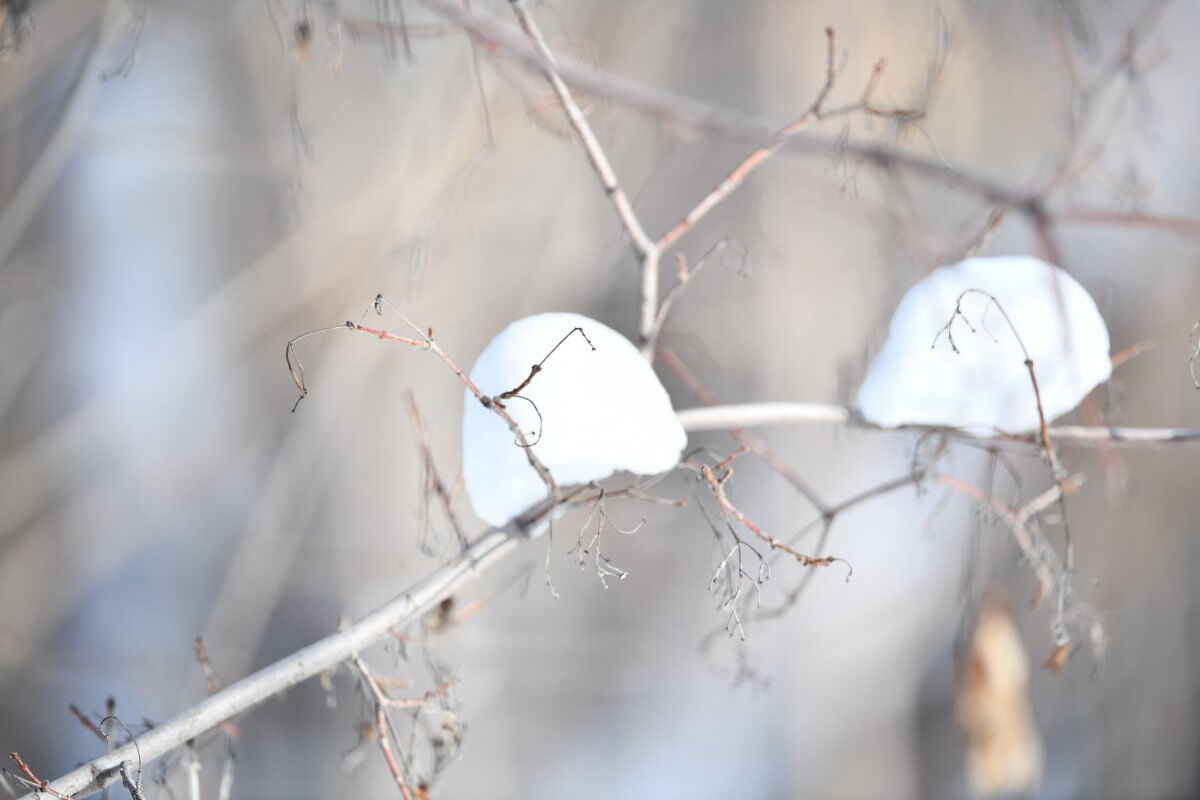 Дождь и снег ожидаются в Казахстане 15 марта