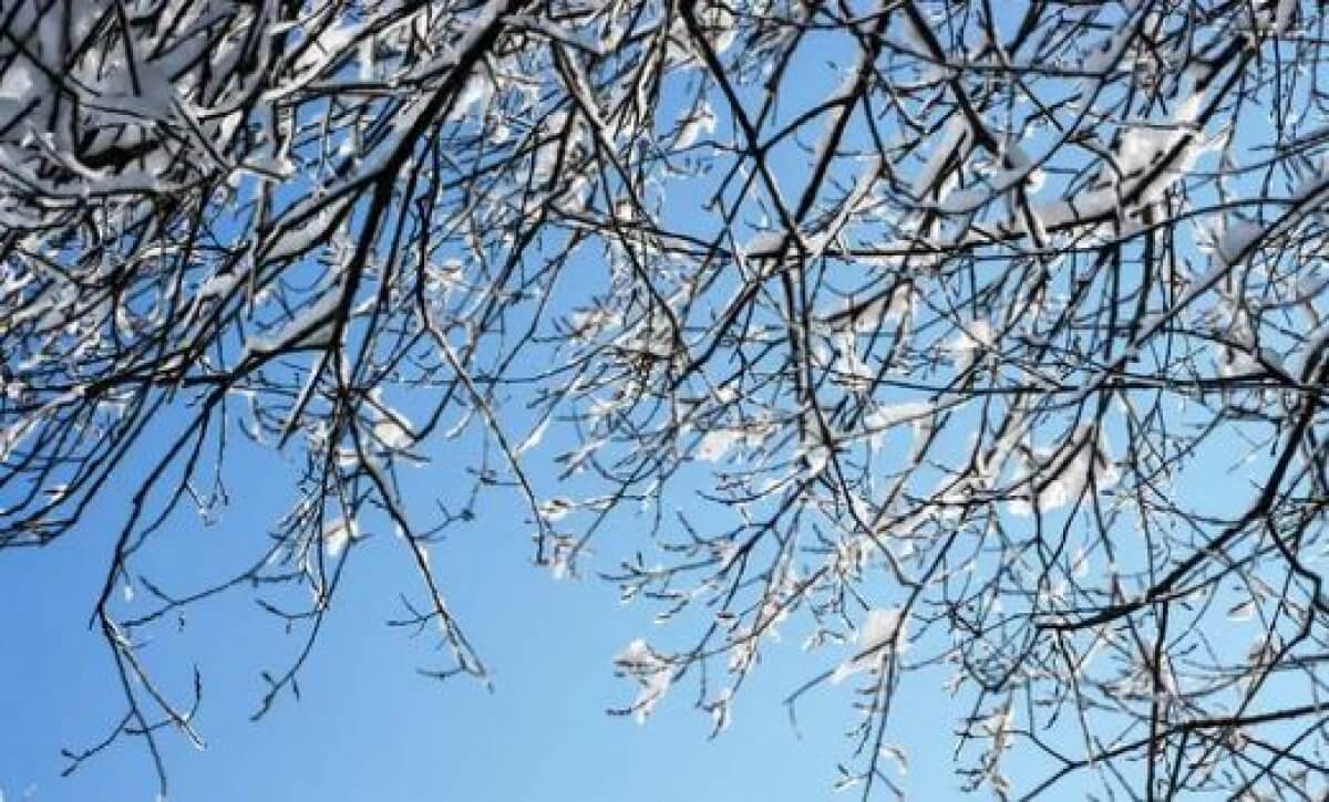 Погода в Казахстане на 18 марта