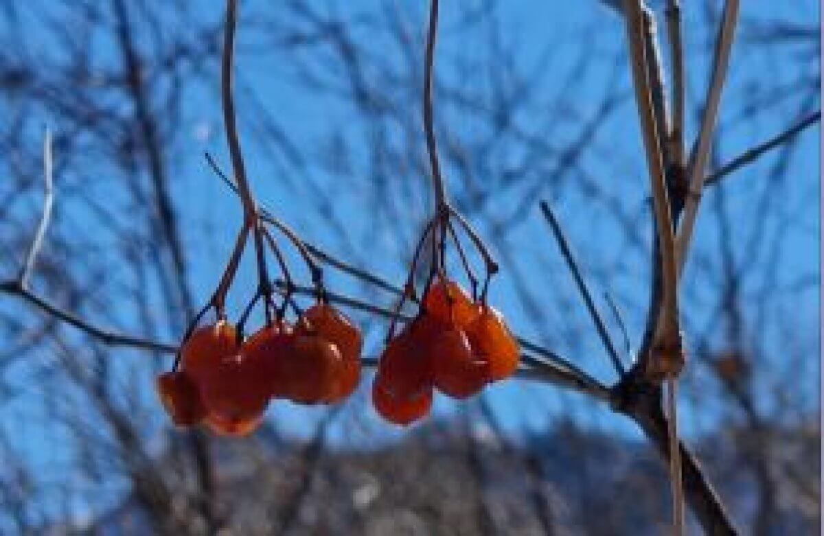 Казахстанцев ожидает ясная погода без осадков