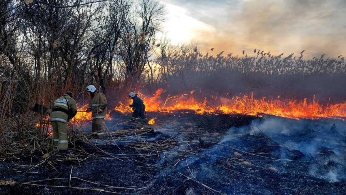 Бүгін Павлодар облысында бірнеше өрт шықты