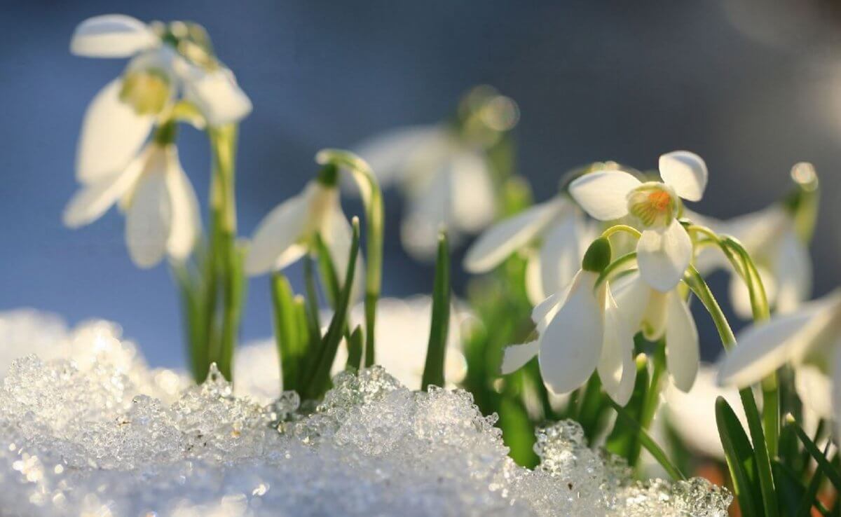 Осадков не будет на большей части Казахстана 20 апреля