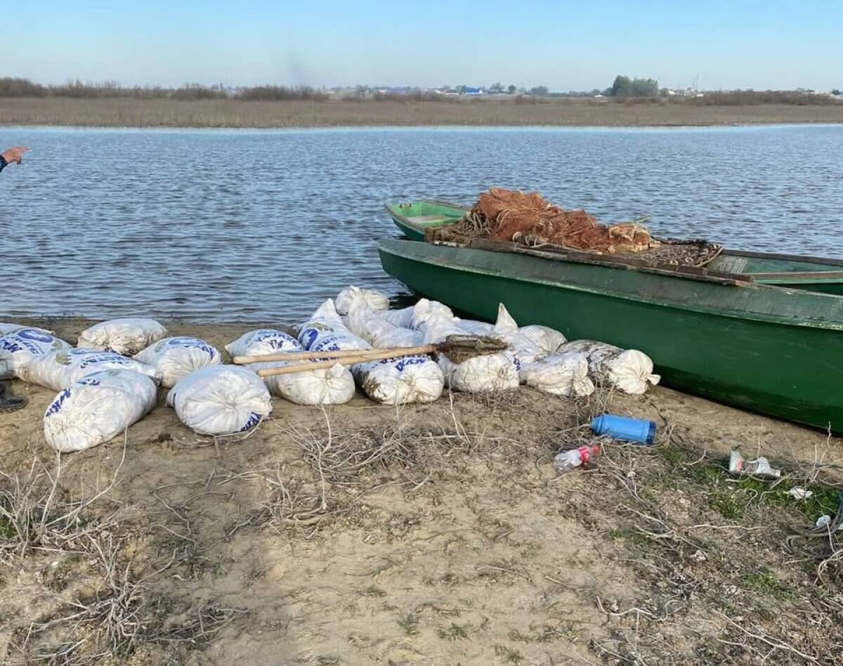 Подозреваемых в незаконной перевозке более тонны рыбы задержали в Атырау