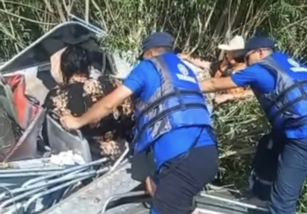 Женщина пострадала из-за столкновения моторной лодки с зарослями в Аксу