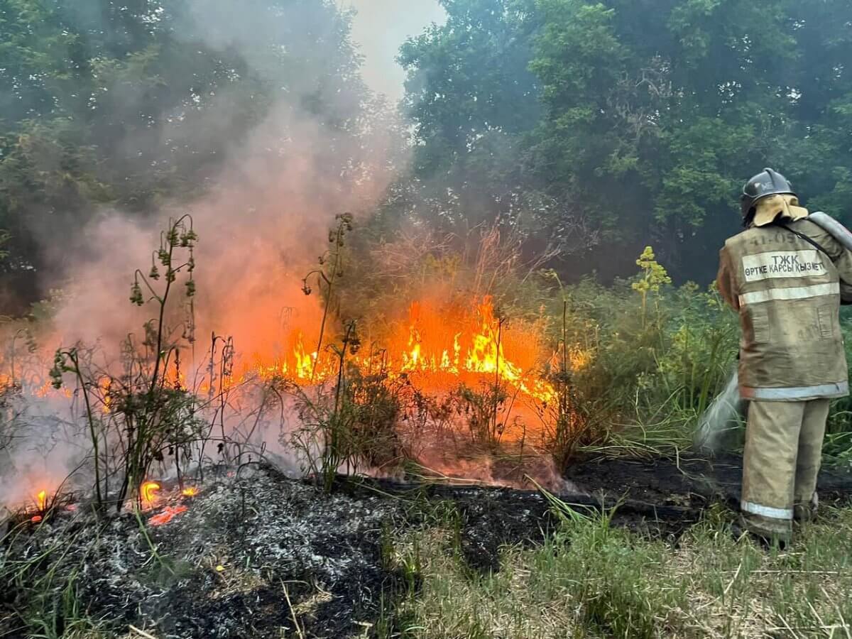 Пожар в области Абай: три работника лесничества погибли