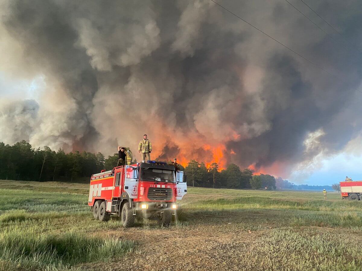 Турция и Узбекистан готовы помочь в тушении пожара в области Абай