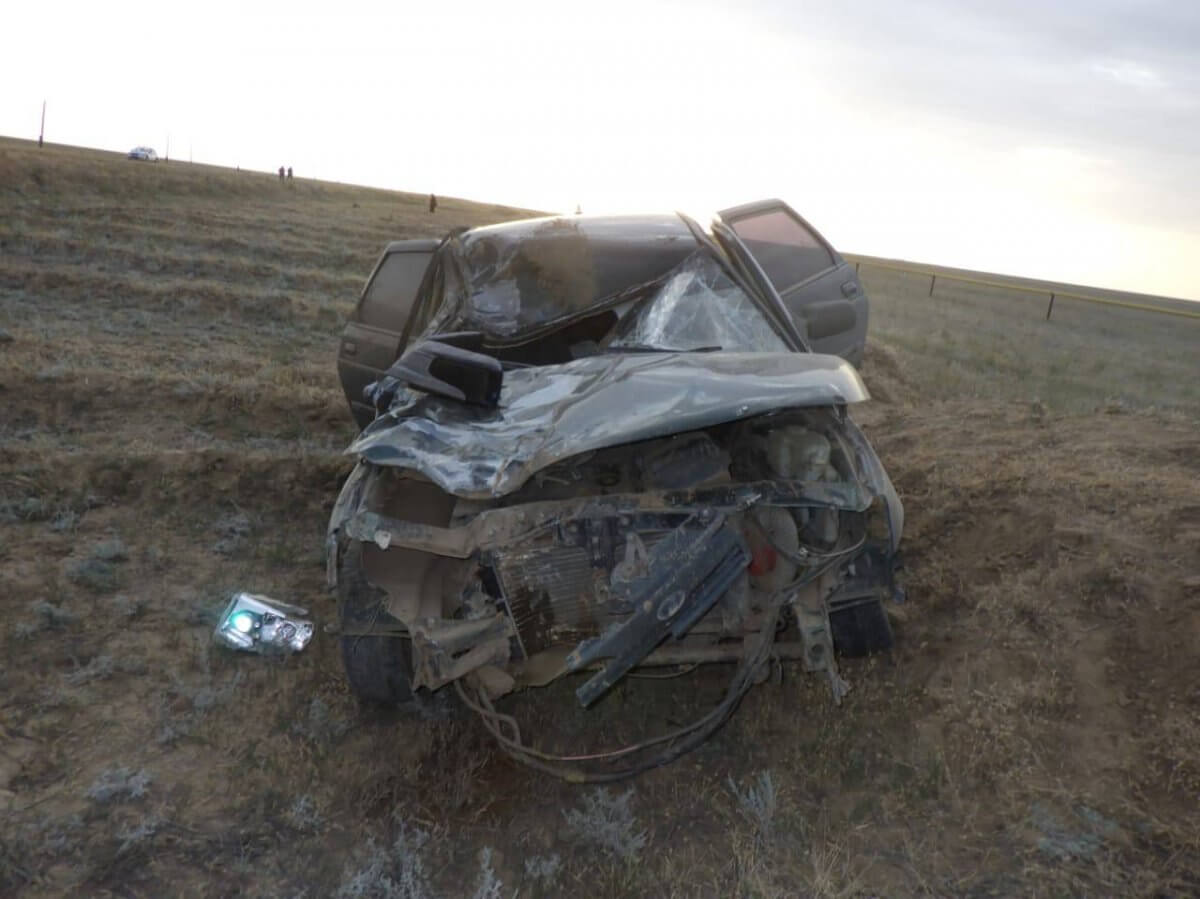 Из-за лошади погиб человек на трассе в ЗКО