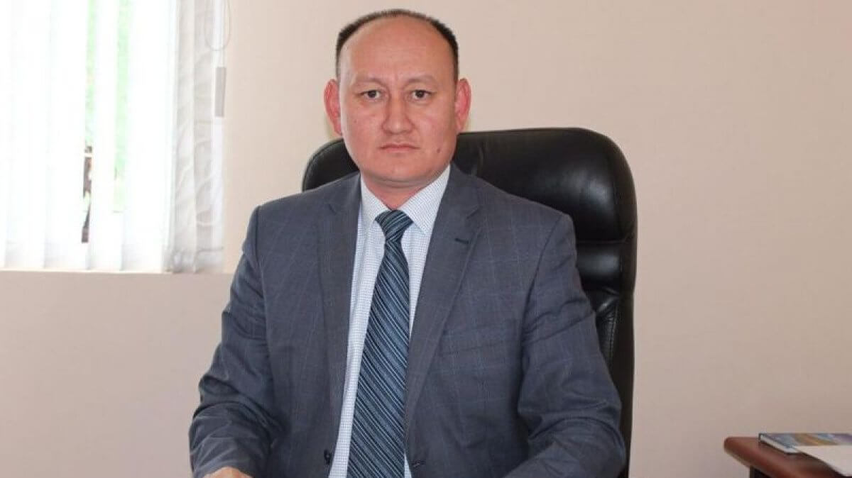 Акима района, в котором загорелся лес, сменили в Абайской области