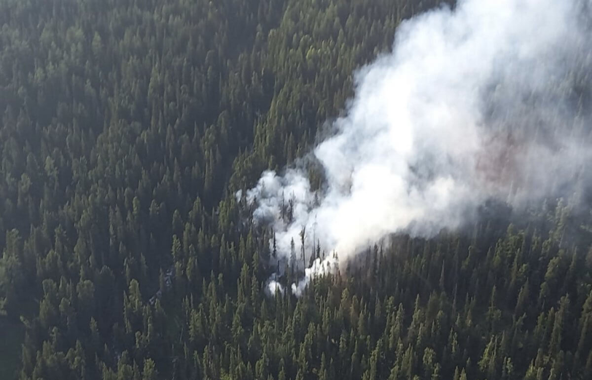 Пожар в Катон-Карагайском нацпарке локализовали – ДЧС