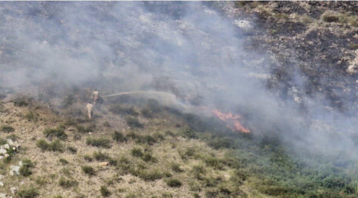 Загорание сухостоя ликвидировали на востоке Казахстана