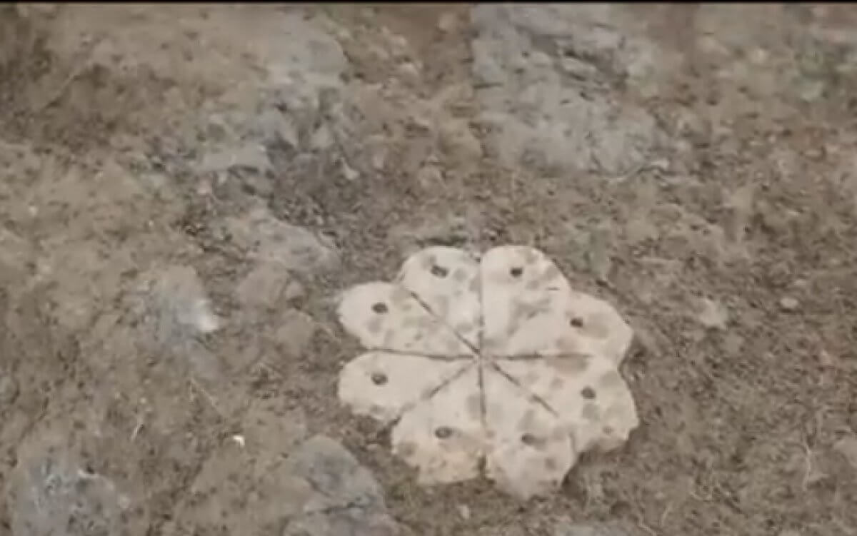 Мавзолей эпохи Золотой Орды обнаружили недалеко от Астаны