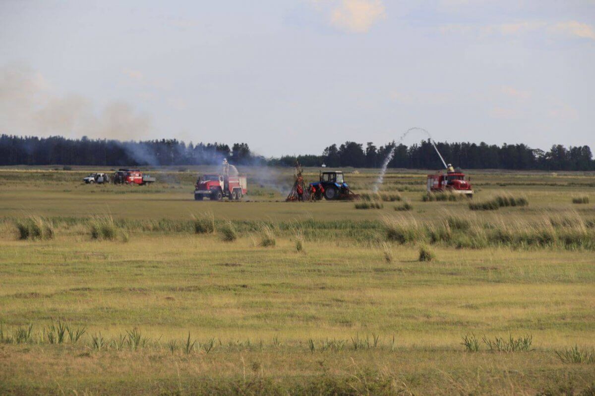 Пожар в лесничестве "Ертіс орманы" локализовали