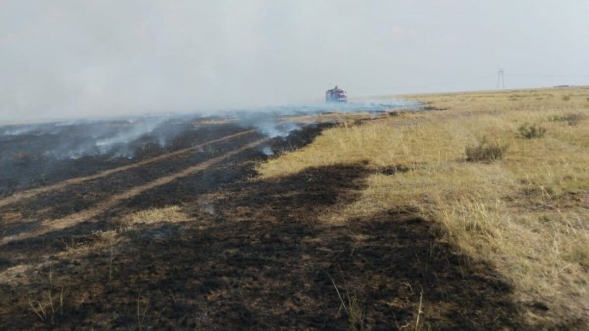 Сухая трава горит в Павлодарской области