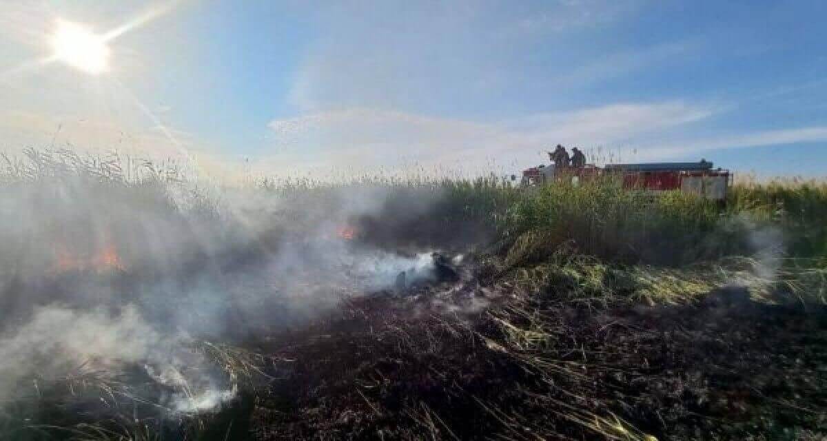 Площадь пожара в Коргалжынском заповеднике выросла почти в семь раз