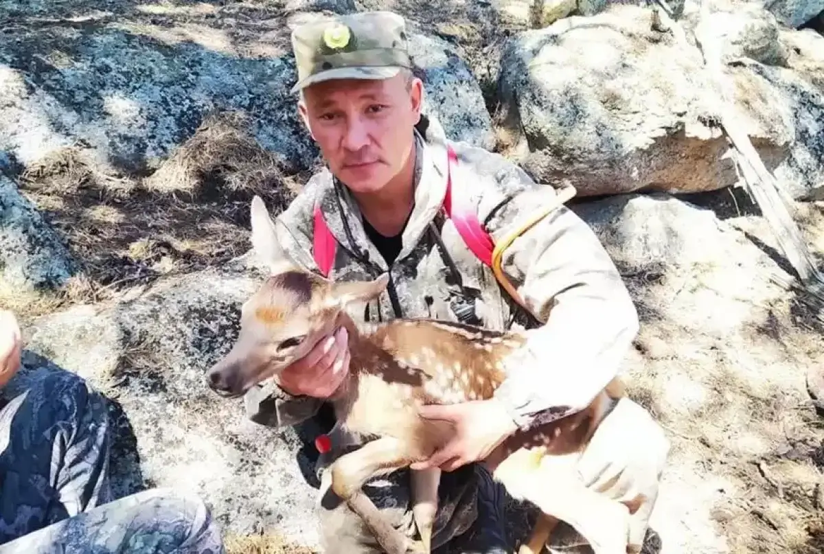 Олененка спасли при тушении пожара на горе Кокшетау