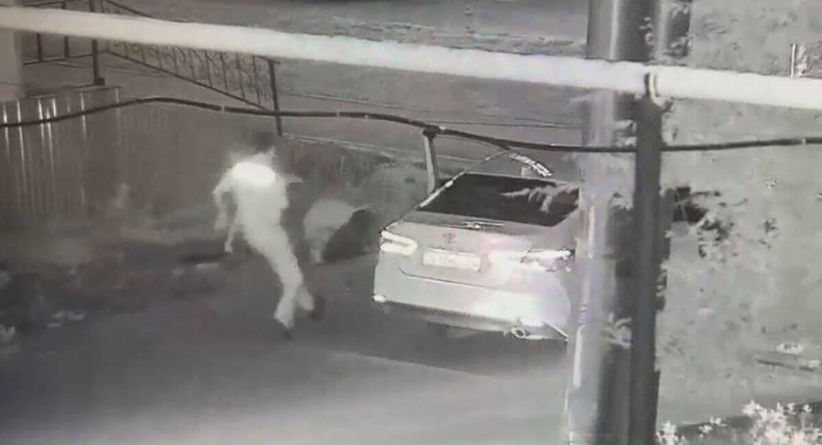 Мужчина выстрелил в прохожего в Хромтау (ВИДЕО)