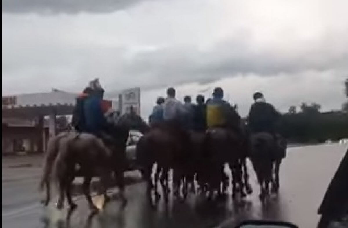 Кокпар посреди оживленной дороги устроили в Алматинской области (ВИДЕО)