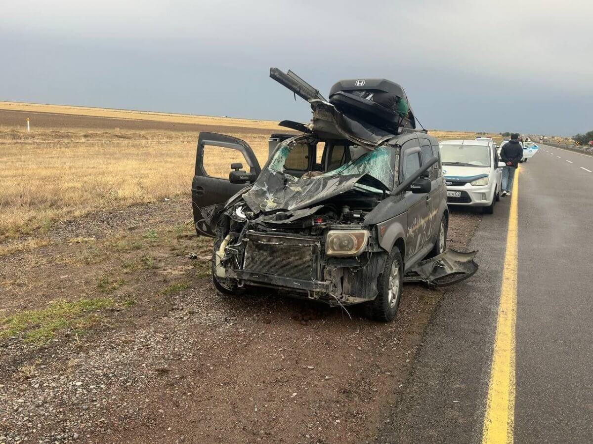 Мужчина погиб в ДТП с выбежавшей на трассу лошадью в Жетысу