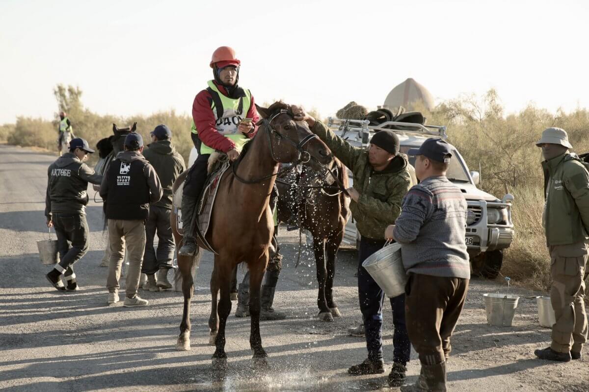 "Ұлы дала жорығы": команда Туркестанской области второй раз стала победителей этапов марафона
